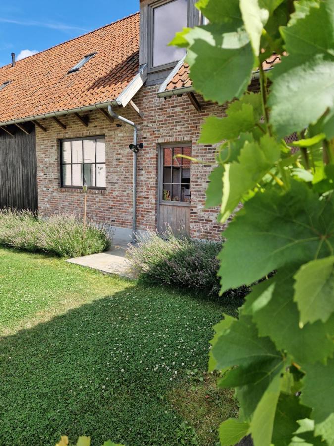 Muntershof Villa Velzeke-Ruddershove Exterior photo